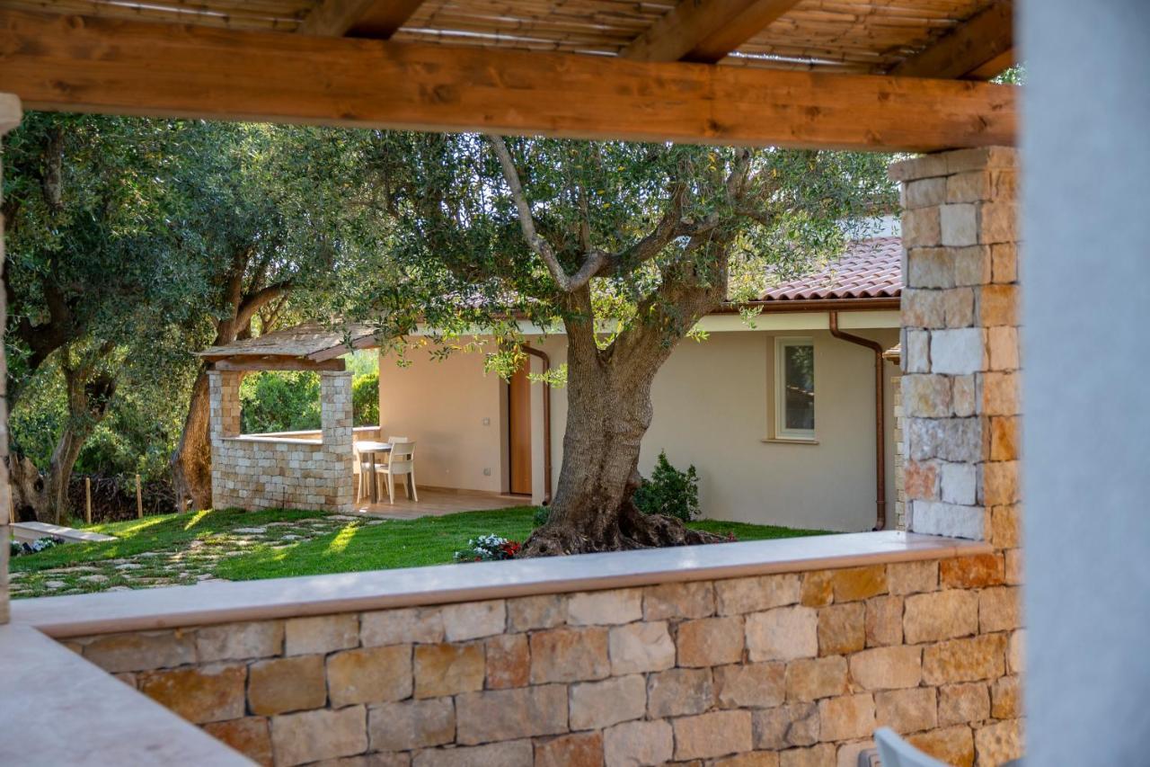 Il Mirto Residence Marina di Camerota Dış mekan fotoğraf