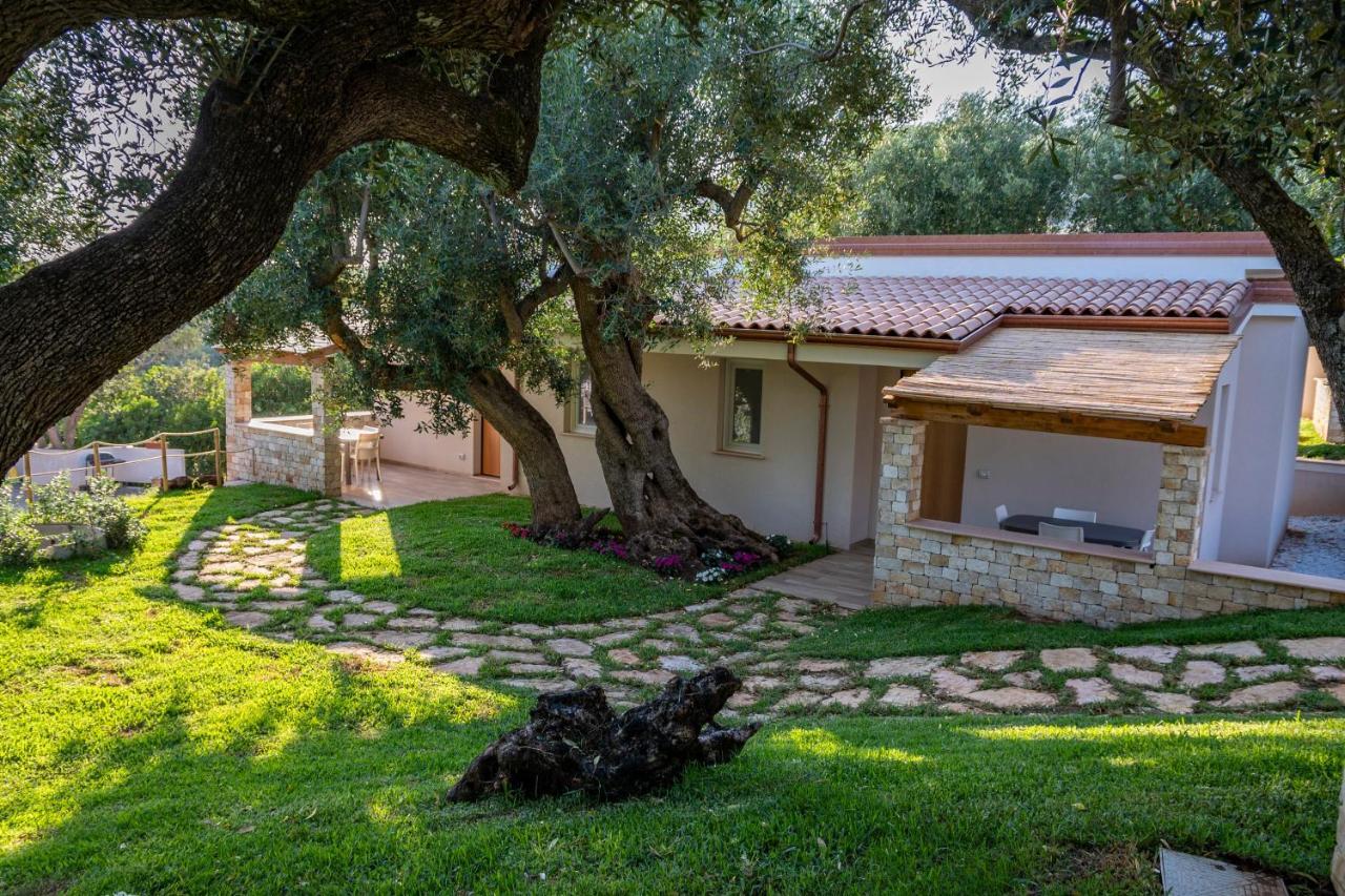 Il Mirto Residence Marina di Camerota Dış mekan fotoğraf