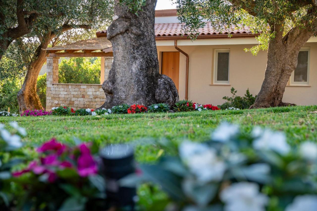 Il Mirto Residence Marina di Camerota Dış mekan fotoğraf