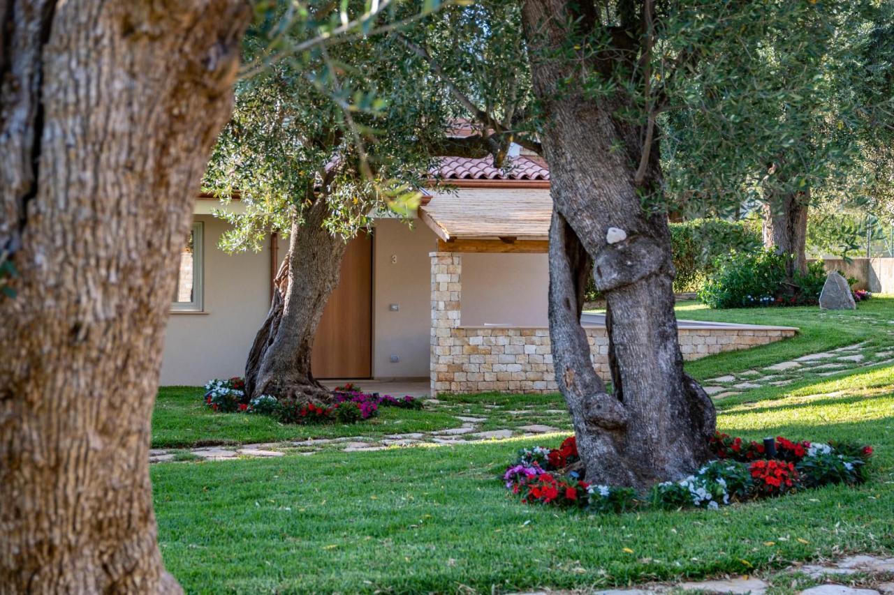 Il Mirto Residence Marina di Camerota Dış mekan fotoğraf