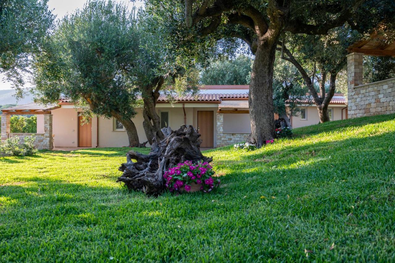 Il Mirto Residence Marina di Camerota Dış mekan fotoğraf