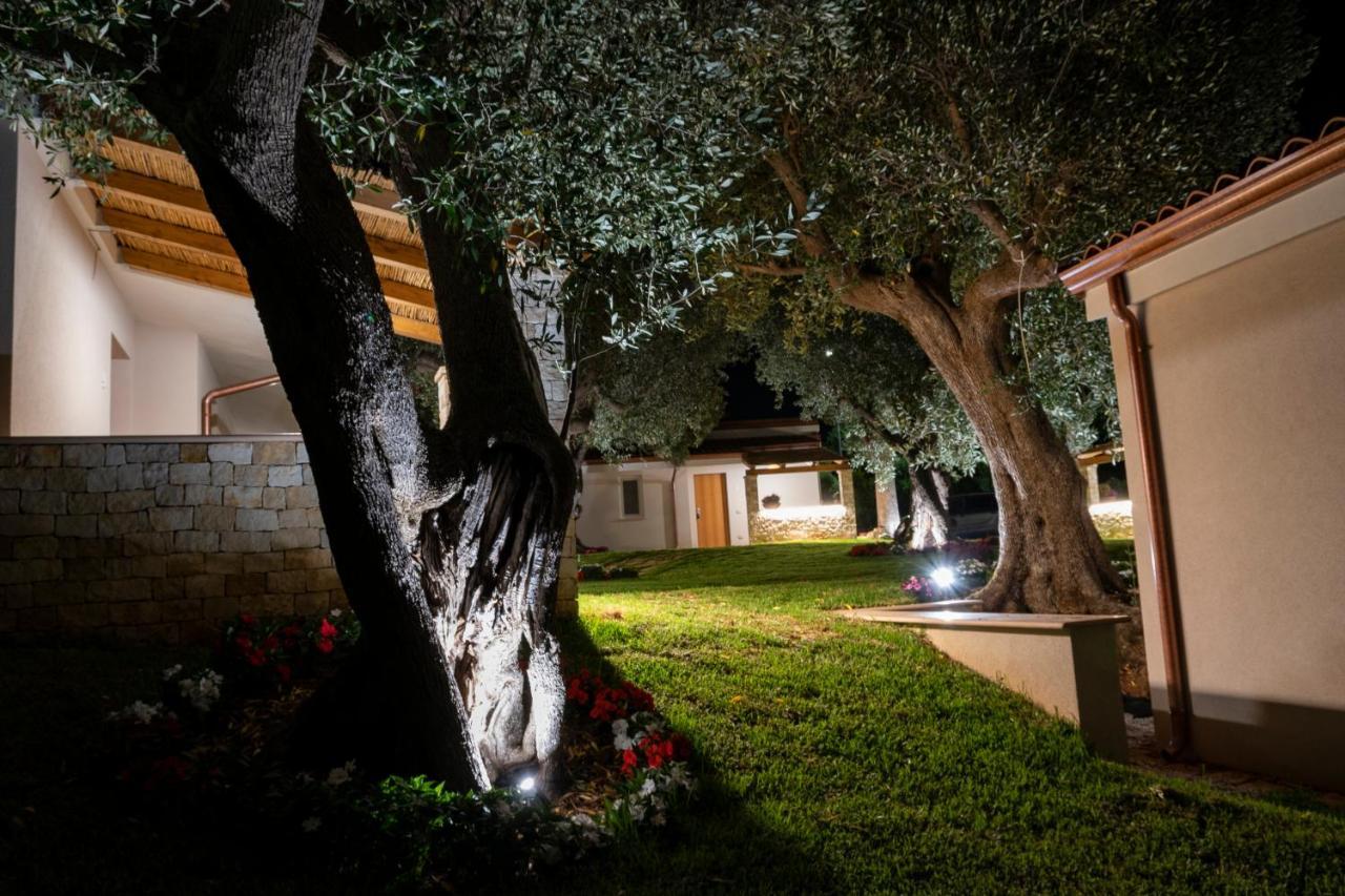 Il Mirto Residence Marina di Camerota Dış mekan fotoğraf