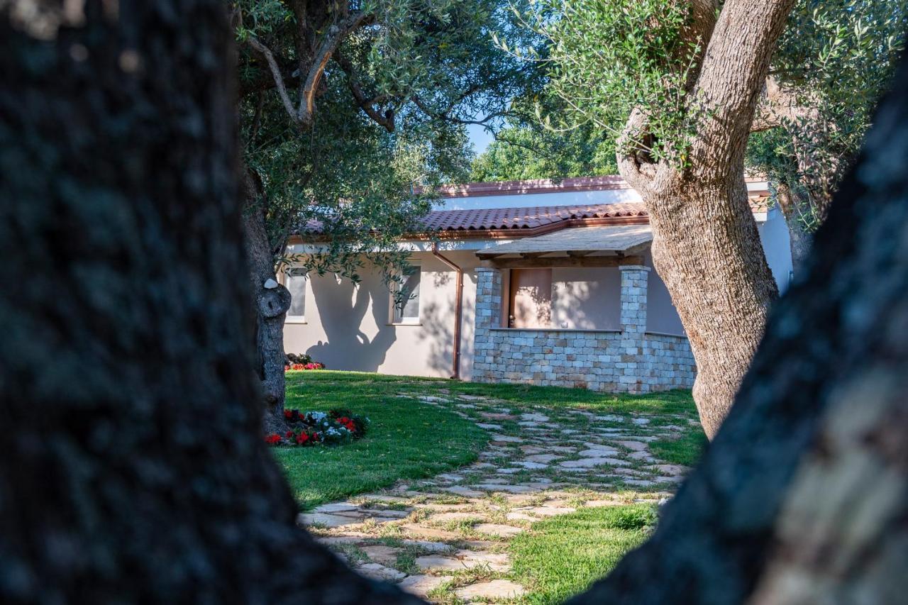 Il Mirto Residence Marina di Camerota Dış mekan fotoğraf