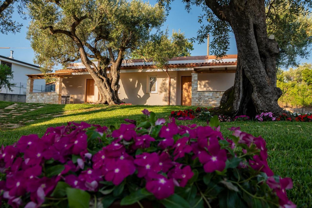 Il Mirto Residence Marina di Camerota Dış mekan fotoğraf